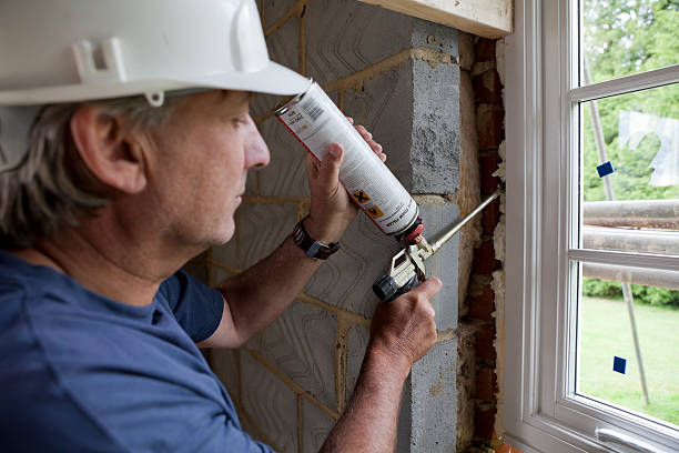 Best Wall Insulation Installation  in Lake Hamilton, AR